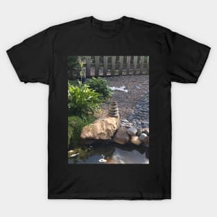 Stone Pile T-Shirt